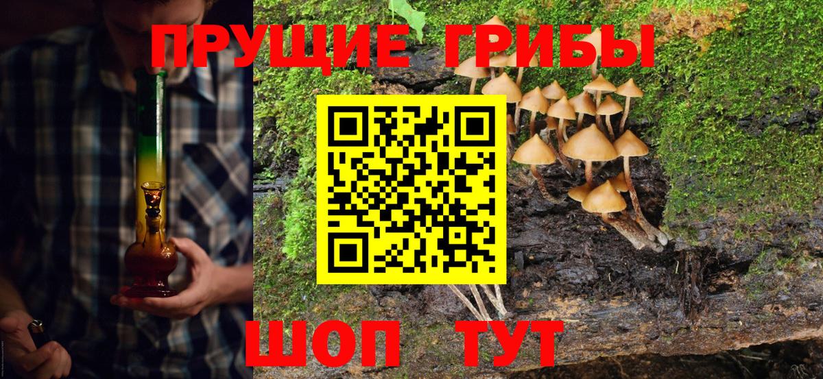Псилоцибиновые грибы ЛСД  Вход с VPN  Братск  Псилоцибиновые грибы GOLDEN TEACHER 